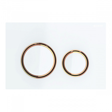 Смывная клавиша Geberit Sigma 21 115.650.SI.1 фото