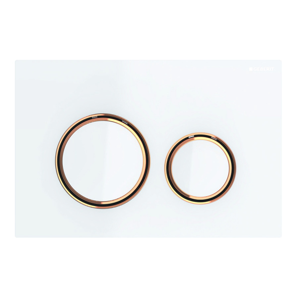 Смывная клавиша Geberit Sigma 21 115.650.SI.1 фото