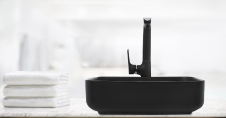 Накладная раковина WeltWassaer Elbach ELBACH 2195 MB фото