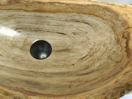 Накладная раковина из окаменелого дерева FS-0402 (63*36*16) фото