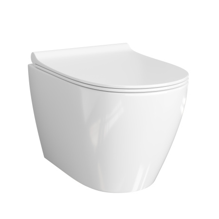 Подвесной унитаз безободковый WasserKRAFT Mindel H002.E034 с сиденьем фото