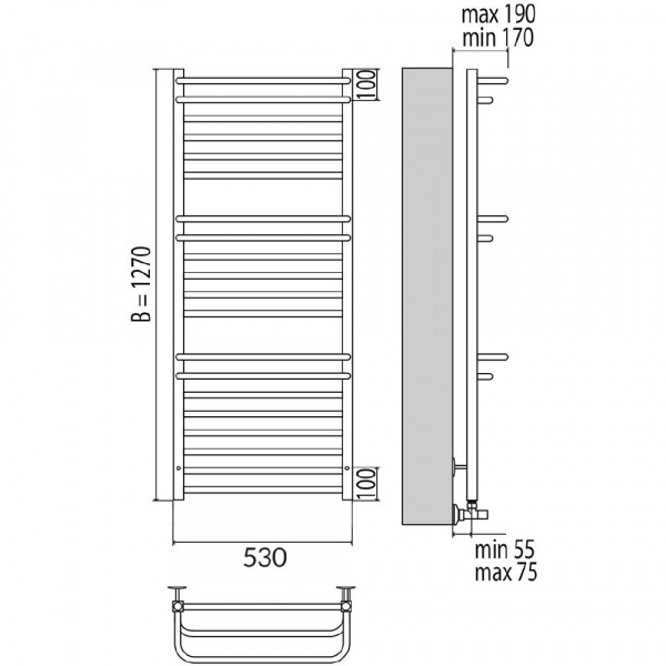 Полотенцесушитель электрический Terminus Орион П20 4660059921013 500х1270 фото