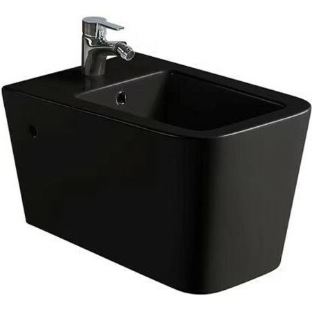 Биде подвесное SantiLine SL-5054MB фото