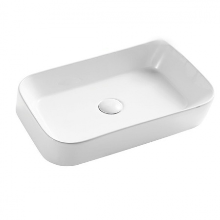 Накладная раковина WeltWasser Elbach ELBACH 2243 55х39 фото