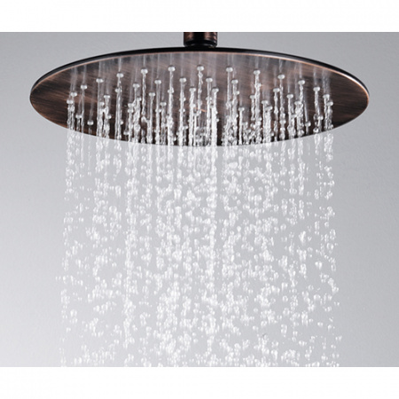 Верхний тропический душ WasserKRAFT Isar A115 фото