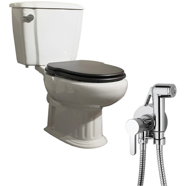Комплект унитаза компакт с гигиеническим душем Sanitana Grecia NC888661aosta с бачком и сиденьем фото