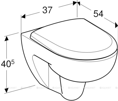 Унитаз с инсталляцией Geberit Renova 500.124.TC.R фото