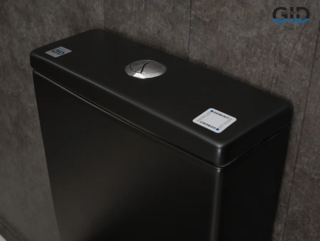 Унитаз напольный безободковый GID Tn2189Bm с сиденьем фото