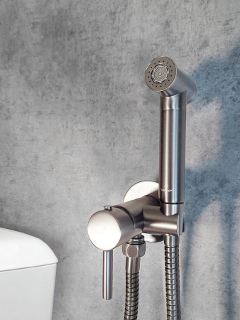 Гигиенический душ со смесителем AltroBagno Modern 060126Ni никель фото