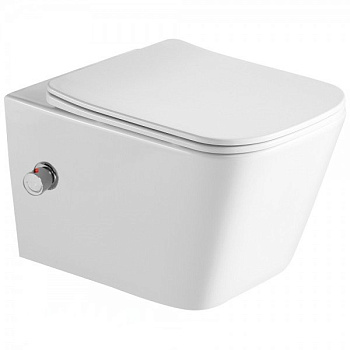 Подвесной унитаз со смывом торнадо и функцией биде SantiLine SL-5007T-SM/BD фото