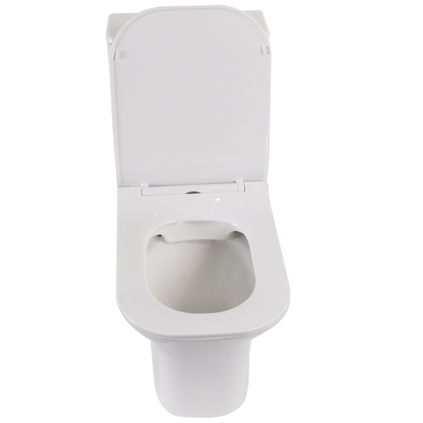 Унитаз напольный Cerutti SPA Vittore CT9240 с сиденьем, белый матовый фото