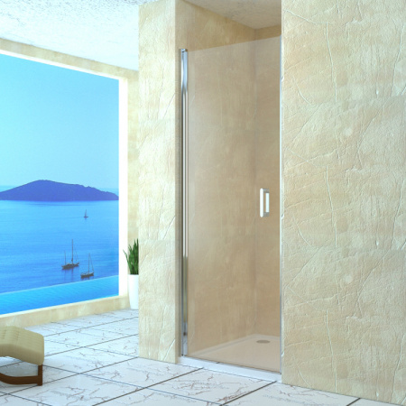 Душевая дверь RGW Leipzig LE-03 06120309-11 90 см фото