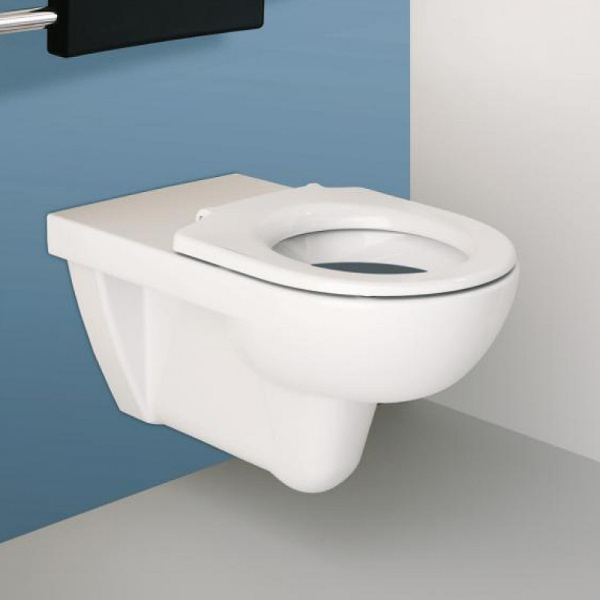 Подвесной унитаз для инвалидов Geberit Selnova Comfort 500.262.01.1 фото