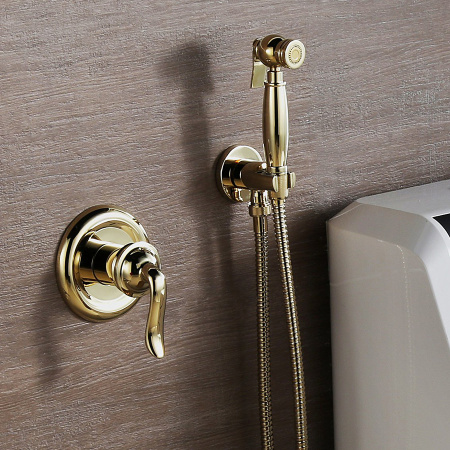 Гигиенический душ со смесителем Lemark Brava LM4719G фото