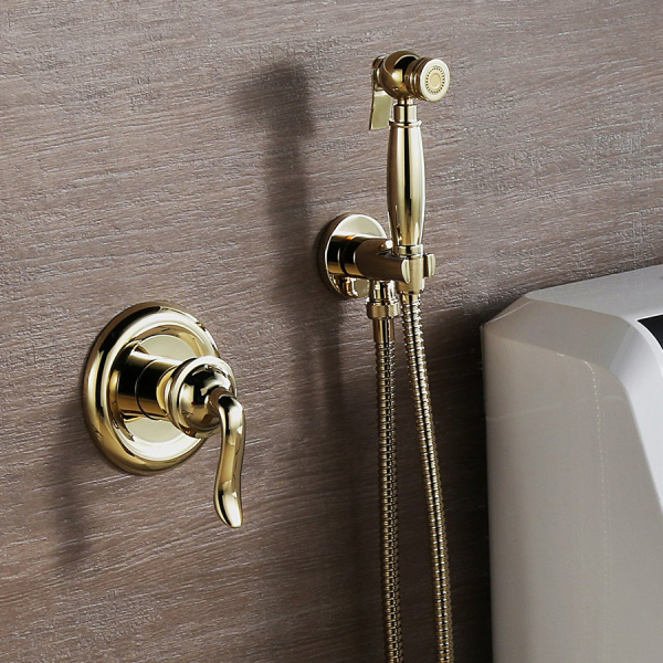 Гигиенический душ со смесителем Lemark Brava LM4719G фото