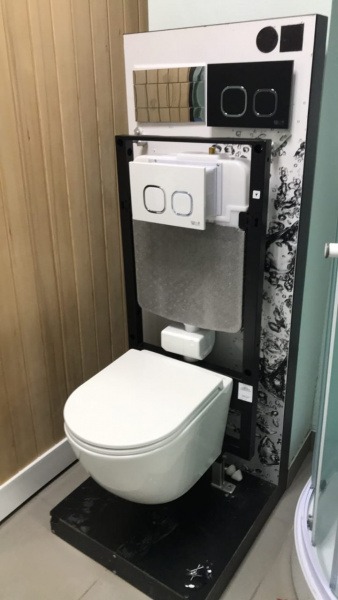 Инсталляция для подвесного унитаза Weltwasser WW AMBERG 506 фото