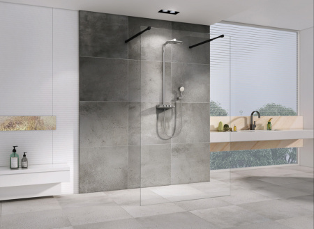 Душевая перегородка ABBER Immer Offen AG68120B8 120 см фото