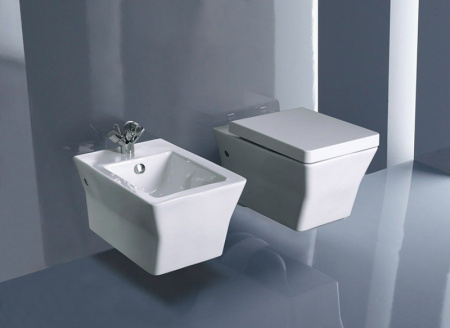 Биде подвесное Jacob Delafon Reve E4812-00 фото