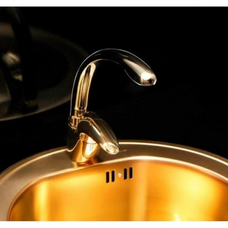 Смеситель для кухни Alveus Fontana Monarch PVD золото фото