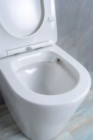 Унитаз приставной Gid TRS-263 фото