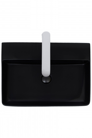 Накладная раковина WeltWassaer Elbach ELBACH 2173 MB фото