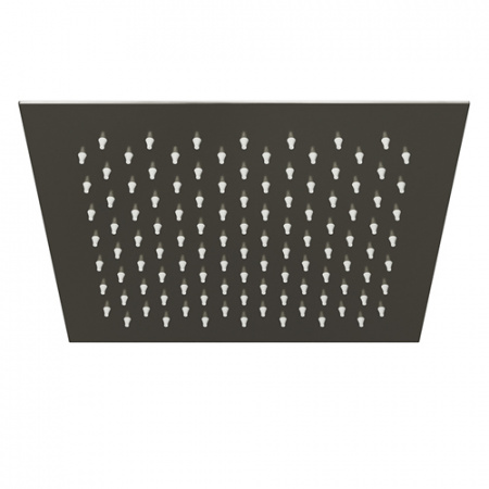 Верхний тропический душ WasserKRAFT Wiese A200 25х25 фото