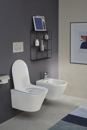 Биде подвесное Jacob Delafon Rodin+ EMJ0002-00 фото