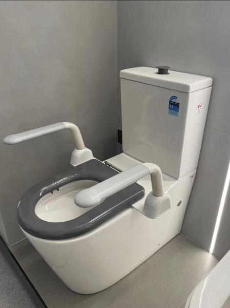 Поручни для унитаза для инвалидов и пожилых людей SantiLine SL-3013 фото