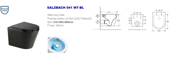 Подвесной унитаз безободковый WeltWasser Salzbach WW SALZBACH 041 MT-BL черный матовый фото