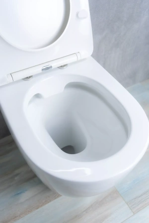 Унитаз приставной Gid TRS-269 фото