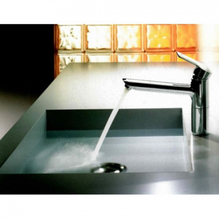 Смеситель для кухни Hansa Vantis 52482203 фото