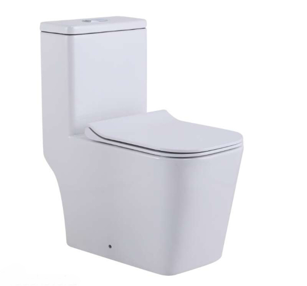 Унитаз напольный безободковый SantiLine SL-5024 с сиденьем фото