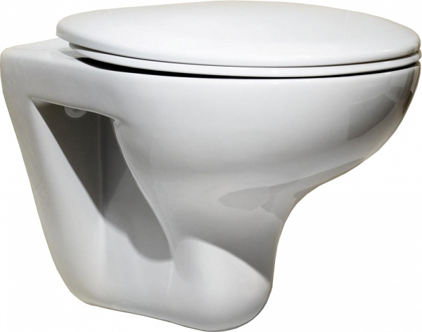 Комплект инсталляция Roca DUPLO WC 89009000K + унитаз Roca Mateo 7346200000 + кнопка смыва Roca PL1 фото