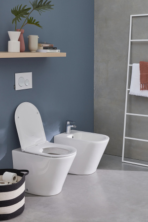 Унитаз приставной Jacob Delafon Rodin+ EDAA102-00 фото