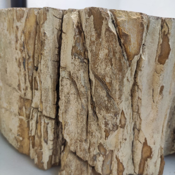 Накладная раковина из окаменелого дерева Fossil Basin OD-01233 (58*48*16) фото