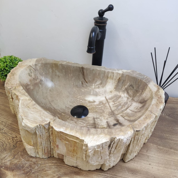 Накладная раковина из окаменелого дерева Fossil Basin OD-01124 (55*39*15) фото