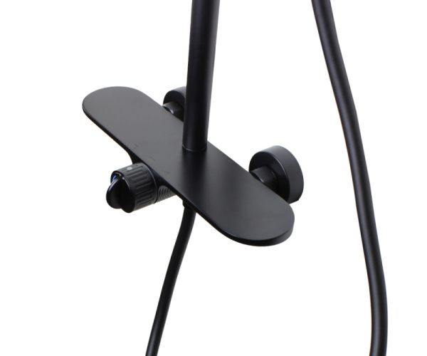 Душевая система Bronze de Luxe Icon 80112CB черная матовая фото