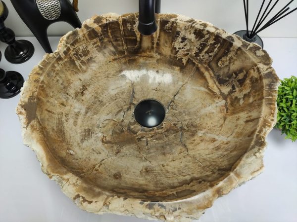 Накладная раковина из окаменелого дерева Fossil Basin OD-00398(48*40*15) фото