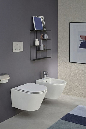 Унитаз c инсталляцией Jacob Delafon Rodin+ E21748RU-00 фото